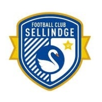 Sellindge Ladies F.C